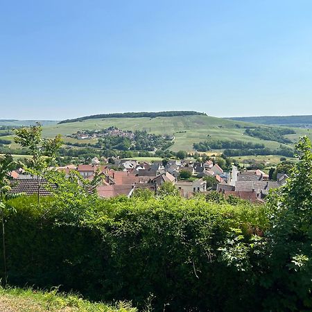 Chez Brigitte Villa Chatillon-sur-Marne Luaran gambar