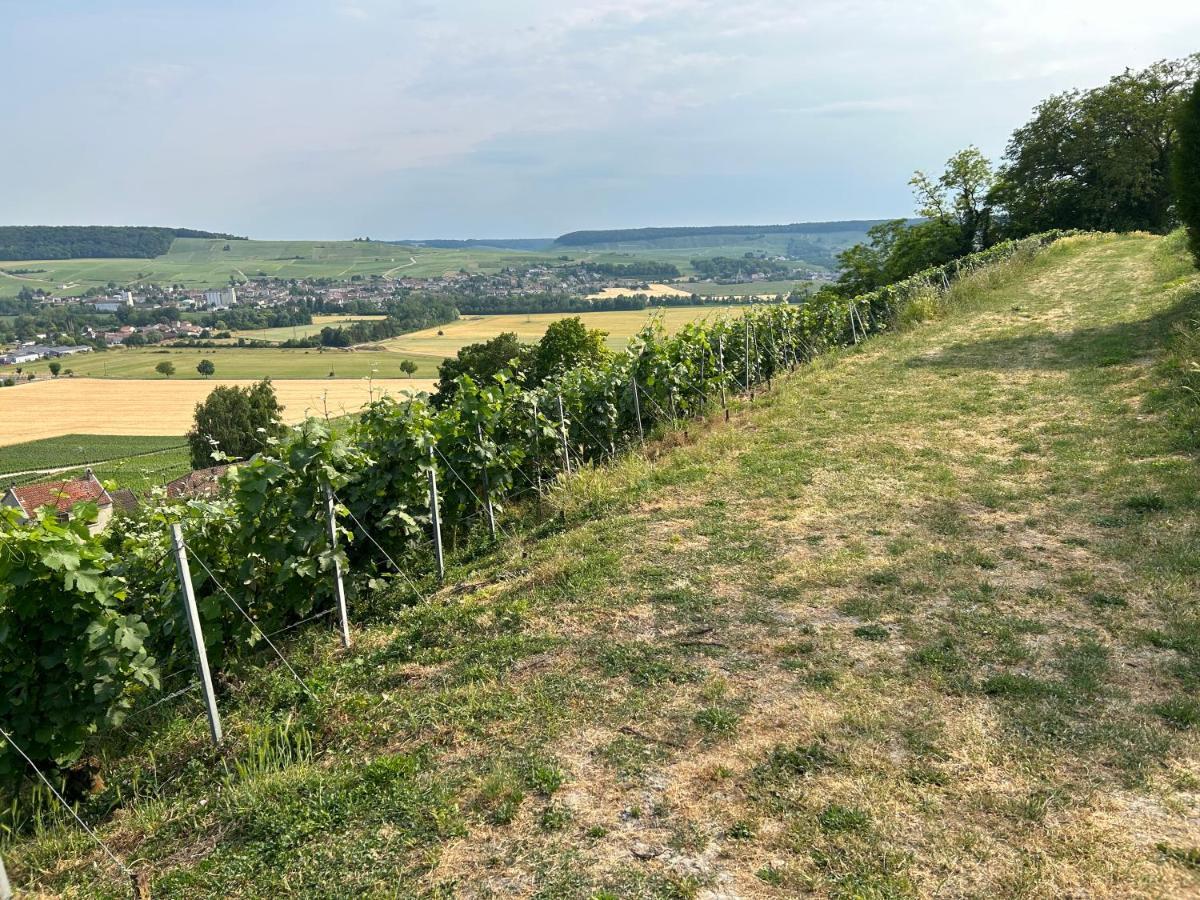 Chez Brigitte Villa Chatillon-sur-Marne Luaran gambar