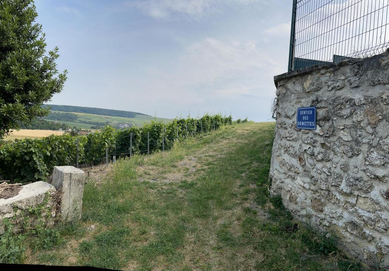 Chez Brigitte Villa Chatillon-sur-Marne Luaran gambar