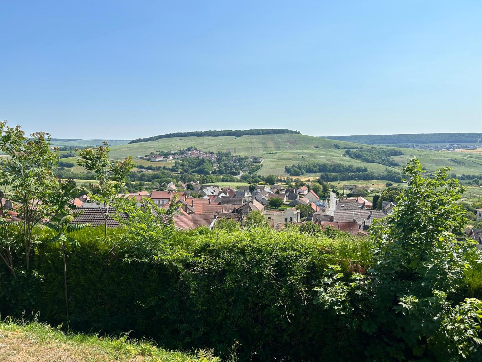 Chez Brigitte Villa Chatillon-sur-Marne Luaran gambar